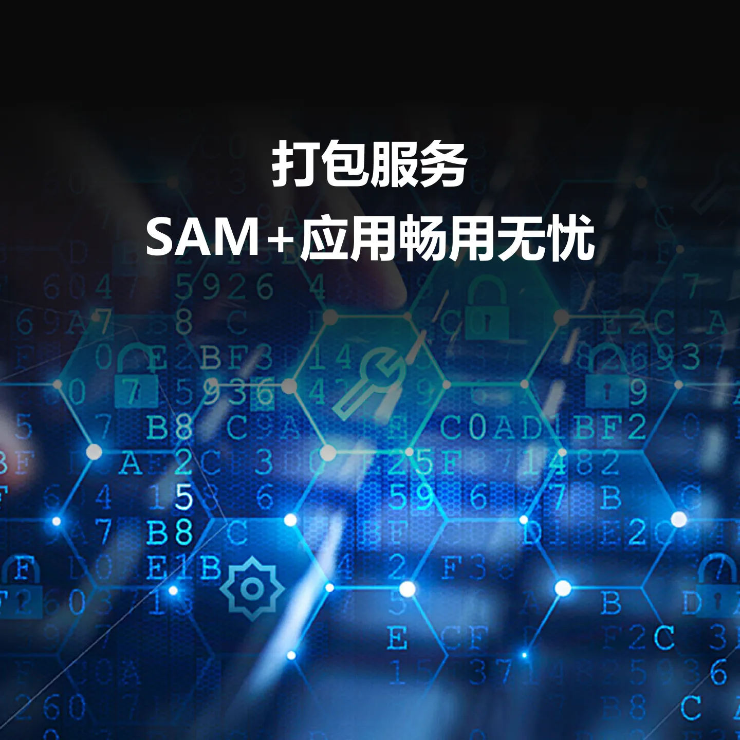 SAM+增值维护服务