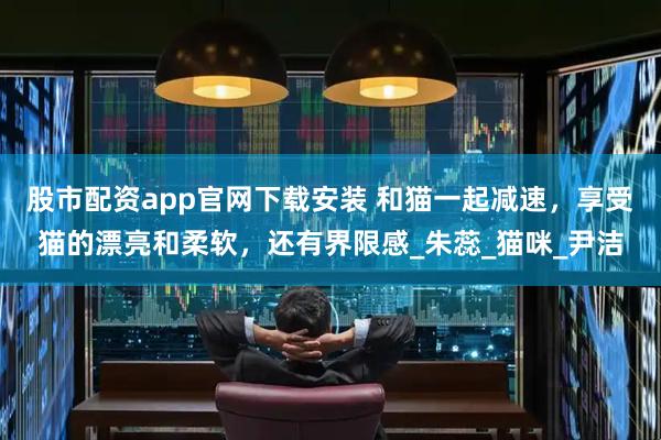股市配资app官网下载安装 和猫一起减速，享受猫的漂亮和柔软，还有界限感_朱蕊_猫咪_尹洁