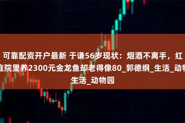 可靠配资开户最新 于谦56岁现状：烟酒不离手，红砖庭院里养2300元金龙鱼却老得像80_郭德纲_生活_动物园
