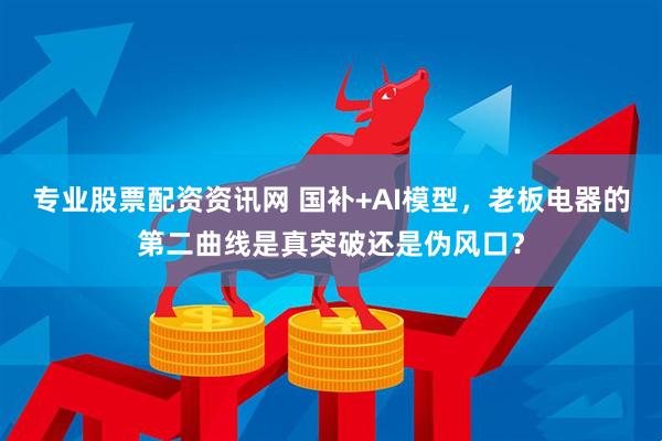 专业股票配资资讯网 国补+AI模型，老板电器的第二曲线是真突破还是伪风口？