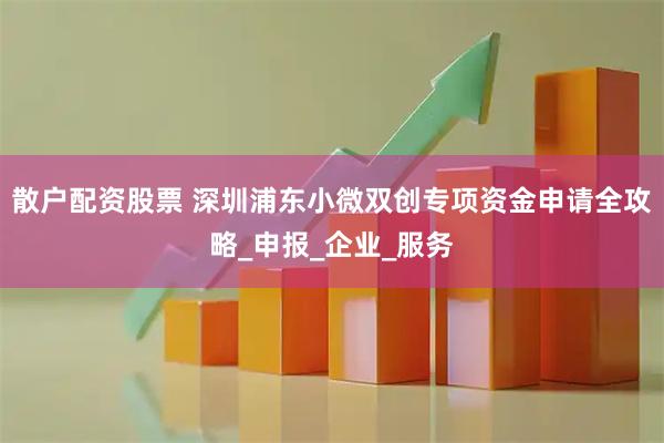 散户配资股票 深圳浦东小微双创专项资金申请全攻略_申报_企业_服务