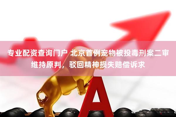 专业配资查询门户 北京首例宠物被投毒刑案二审维持原判，驳回精神损失赔偿诉求