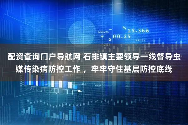 配资查询门户导航网 石排镇主要领导一线督导虫媒传染病防控工作 ，牢牢守住基层防控底线