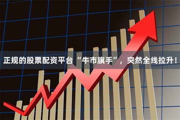 正规的股票配资平台 “牛市旗手”，突然全线拉升！